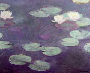 Waterlilies